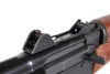 E&L ELS-74UN Platinum GATE ASTER SE V3 airsoft rifle