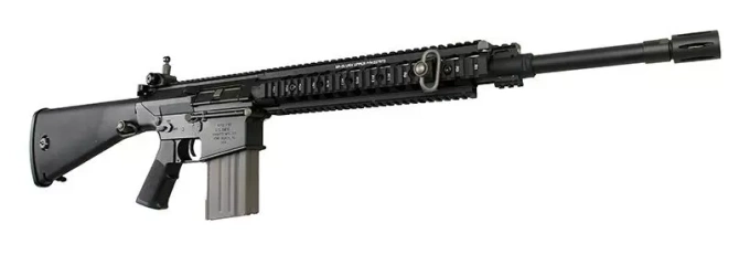 SR25-M110 Sass - BLACK
