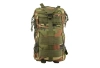 Plecak typu Assault Pack - woodland