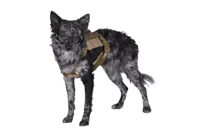 Tactical Dog Harness - Tan