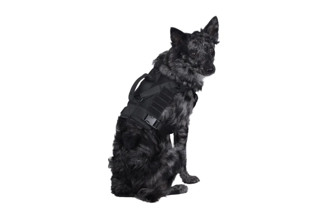 Tactical dog harness Ochia - Black