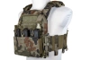 Plate Carrier Specna Arms Tactical Vest QR II Wz.93