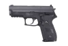 Sig Sauer F229 - WE