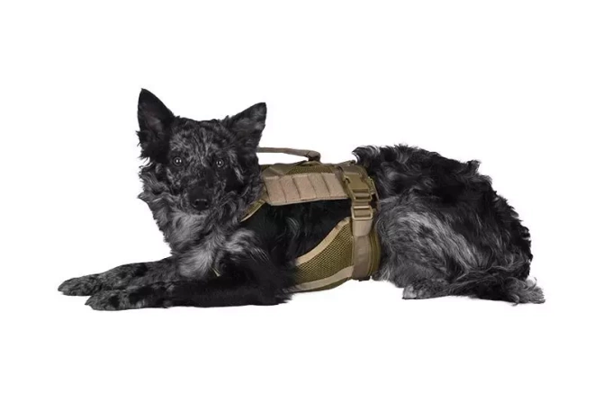 Tactical Dog Harness - Tan