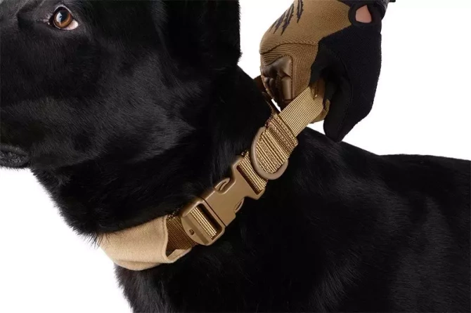 Tactical Dog Collar - Tan