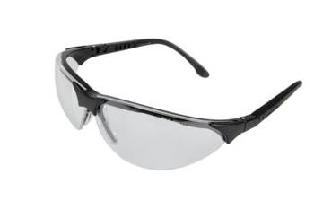 Rendezvous Clear Antifog Glasses