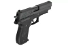 Sig Sauer F226 MK25 - WE