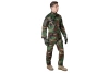 Komplet mundurowy Primal ACU - woodland