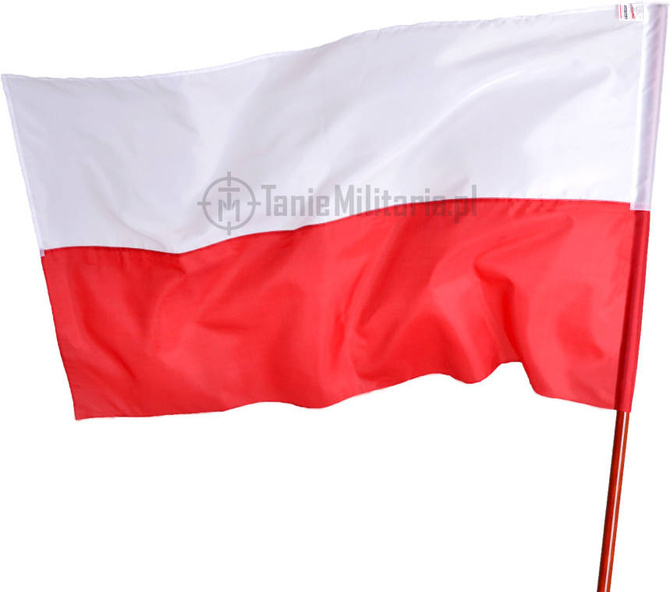 Flaga BASIC 70.45.POL