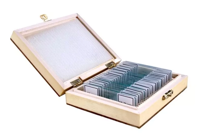 Preparaty biologiczne - BOTANIKA