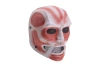 Titan mask