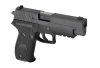Sig Sauer F226 MK25 - WE