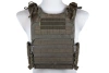 Plate Carrier TMRG-01 - Ranger Green