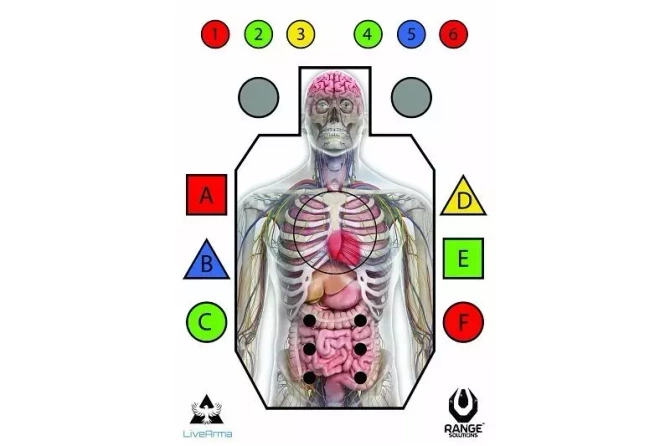 “Live Arma” Shooting Targets - 50 Pcs