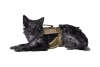 Tactical Dog Harness - Tan