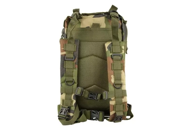 Assault Pack type backpack - woodland