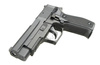 SIG SAUER P226 (GG-106 STTI) - 1:1